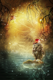 magic owl/10876376